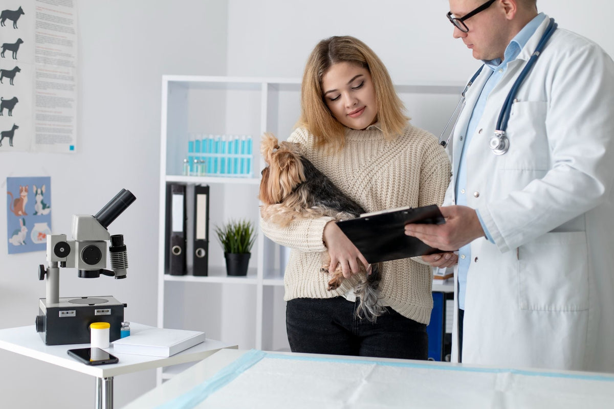 Veterinary X-Ray Room Design: Shielding Guide